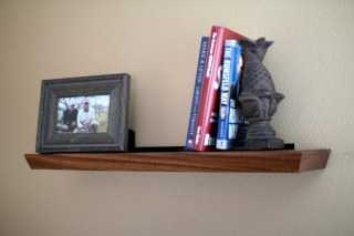 harmonsonshelf1